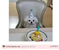 강아지 생일파티에 참석한 예상치 못한 인물.jpg