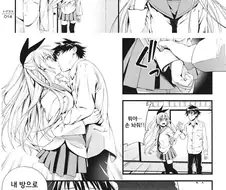[니세코이] 어느 흥미진진한 ㄷㅇㅈ 줄거리