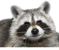 ㅇㅎㅂ) 친구 엄마 엉덩이 보는 만화.manhwa