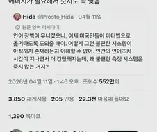 한국의 그 템플릿을 접한 외국인들