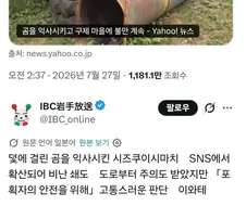 곰 익사시켰다고 곰맘민원 폭주