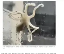 태풍) 이게 그 산지직송이냐