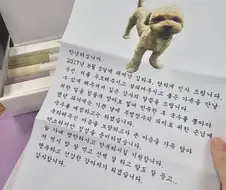 입양 보낸 강아지가 편지를 보내왔다