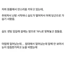 가습기 성능에 깜짝 놀란 식물갤러