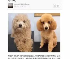 마비노기 환생