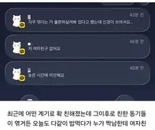 회사 짝남한테 카톡왔는데 이거 어떡함.jpg