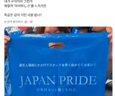 일본에서도 이건 좀...하는 이야기가 나오는