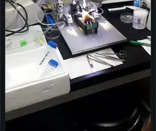 연구원이 느끼는 한국과 일본 차이
