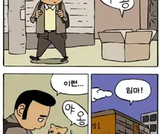 버려진 고양이를 데려다 키우는 manga