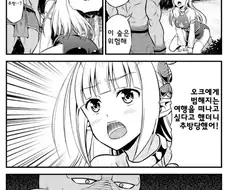 마을에서 추방당한 엘프 만화