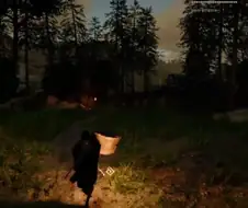 붉은사막)의 디테일