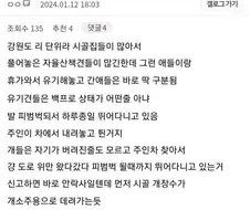 (약혐)관광지 사는데 진짜 휴가철에 끔찍하다