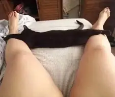 발목까지 내린 팬티 아님.jpg