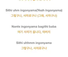 나주평야 발발이 치와와 노래 뜻