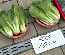 나한테 가격이 붙어있네