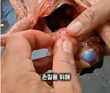 나 죽음에서 태어났다