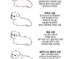 강아지 털깍으면.manwha