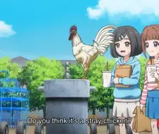 초딩: 와~ 닭 귀여워~