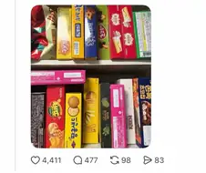내 전공서적은 너희다