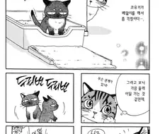 새끼고양이가 배앓이 하는 이유.manhwa