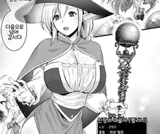 250레벨 마법사가 던전 소탕하는 만화