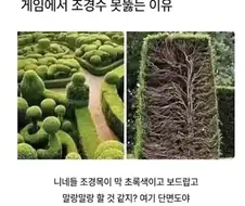 게임에서 조경수 못뚫는 이유