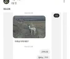 동물 유튜버에게 온 메세지