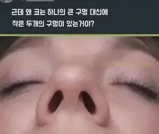 왜 코는 하나의 큰 구멍 대신에 작은 두개의 구멍이 있는거야?