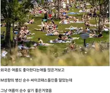 이제야 외국에서 여름 좋아하는 비율이 높은 이유가 이해된다