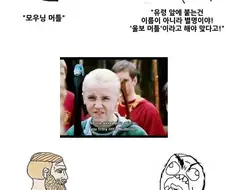 해리포터 오역에 관하여 .manwha