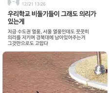 비둘기한테 감동 받은 경북대학생