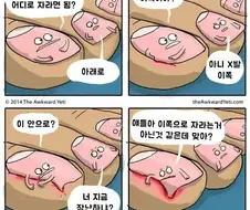 “얘들아 나 어디로 자라면 돼?”.jpg