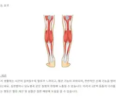 의외로 극심한 ＇다리떨기＇의 부작용