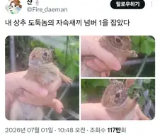 시골의 상추 도둑 패거리 하나를 잡은 사진
