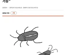 아앗!!! 수컷이 되어버렷!!! (혐짤 ㅇ벗음)
