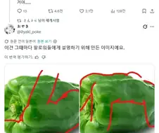 남자 몸을 그릴때 참고하면 좋은 야채