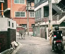 의외로 AI가 아닌 짤