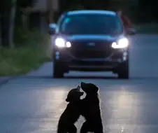 싸움났는데 진짜 심장 아플정도로 살벌하다...