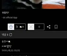 우리집 닥스훈트.jpg