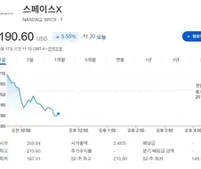 주식)스페이스X 하락장 끝 수고하셨습니다