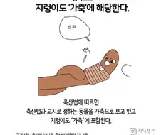 의외로 가축인 것