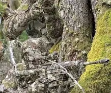 5분안에 사람을 찾지 못하면 죽습니다