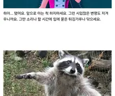 감정사님! 또 몰래 치킨 드신건가요!?