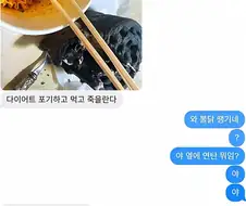 다이어트 포기하고 죽을란다..