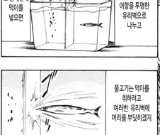 유리벽 증후군.jpg