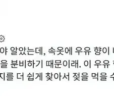 여자 속옷에서 우유향이 나는 이유