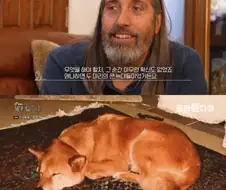 해외로 간 진돗개.jpg