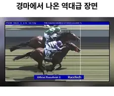 경마에서 나온 역대급 장면