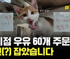 알바가 우유60개 발주넣는 폐급짓을 해도 살아남은 이유