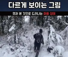 우울한 사람은 다르게 보인다는 그림